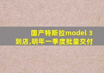 国产特斯拉model 3到店,明年一季度批量交付